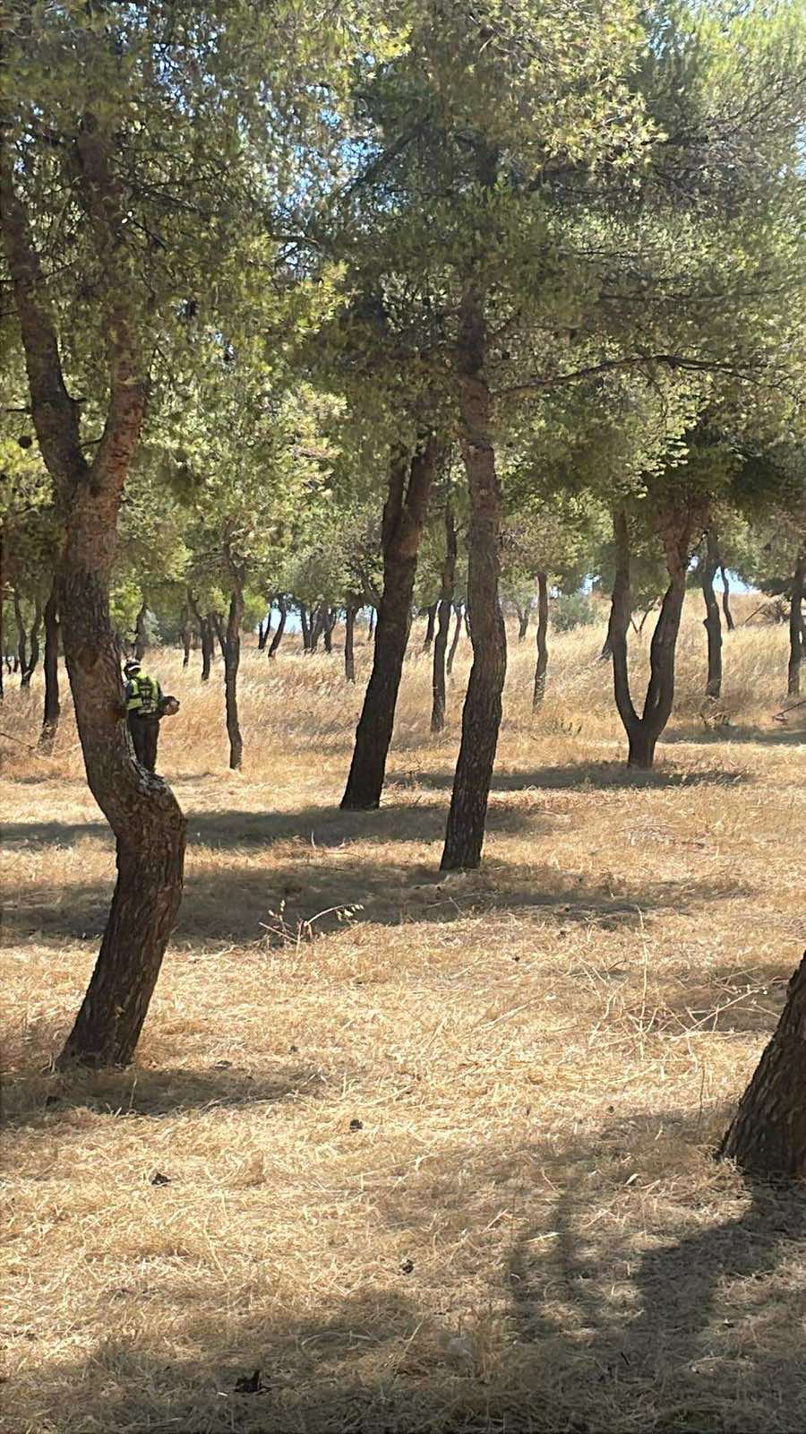 Μετά: εργασία 1, εικόνα 1
