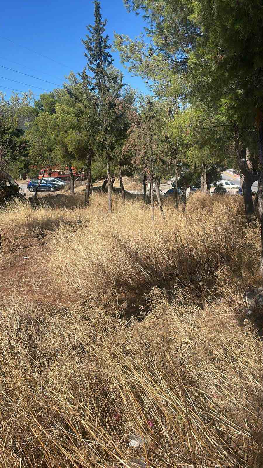 Πριν: εργασία 1, εικόνα 1