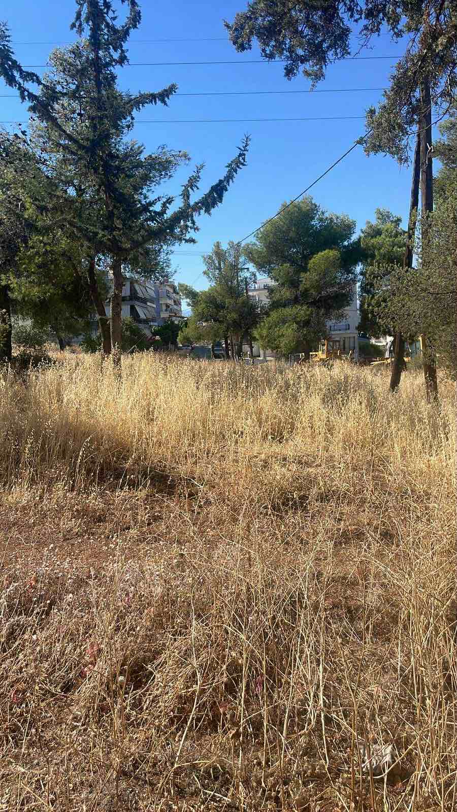 Πριν: εργασία 1, εικόνα 2