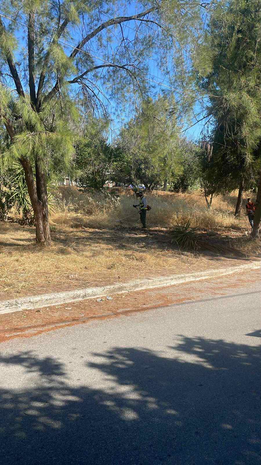 Μετά: εργασία 1, εικόνα 2