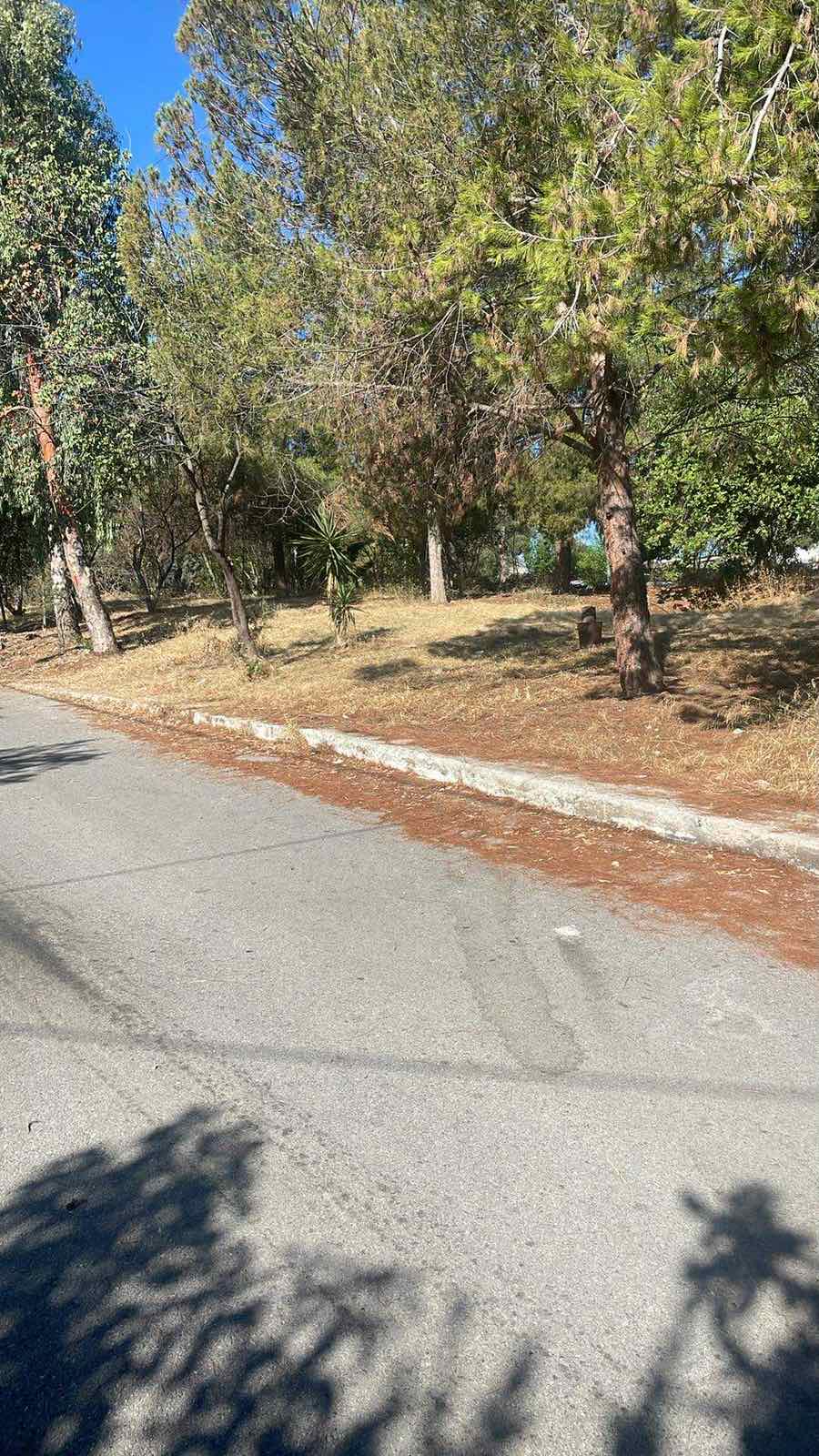 Μετά: εργασία 1, εικόνα 3