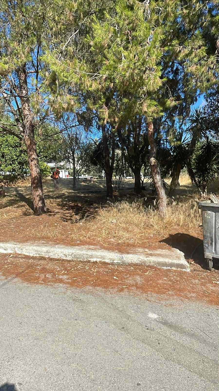 Μετά: εργασία 1, εικόνα 4